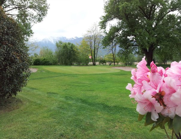 gallery - Golf Locarno