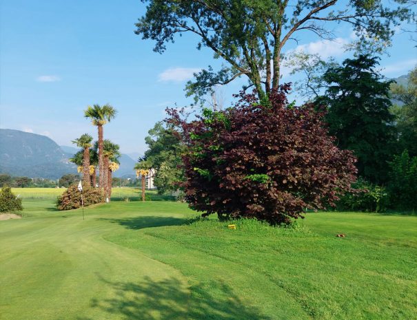 gallery - Golf Locarno